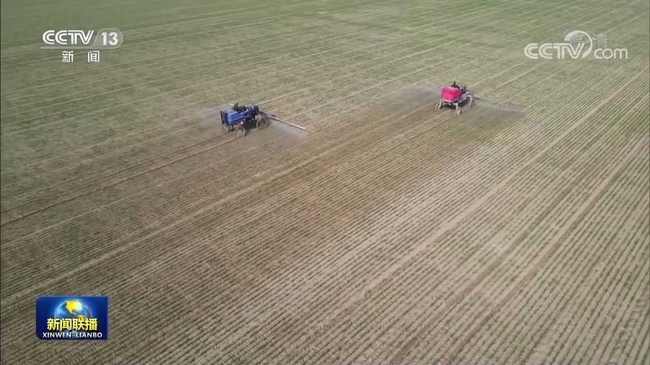 各地加强田间管理 夯实丰收基础