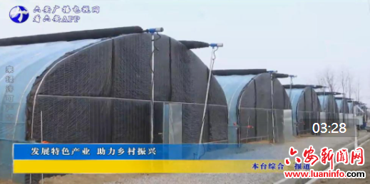 发展特色产业 助力乡村振兴