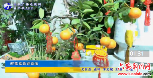 鲜花竞放春意浓