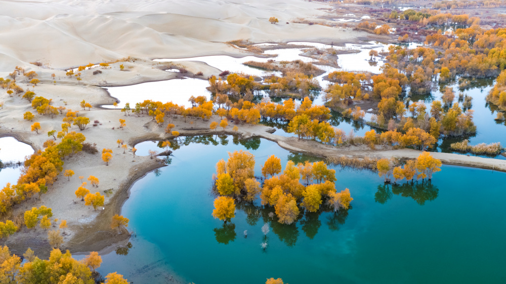 QQ图片20230207083310