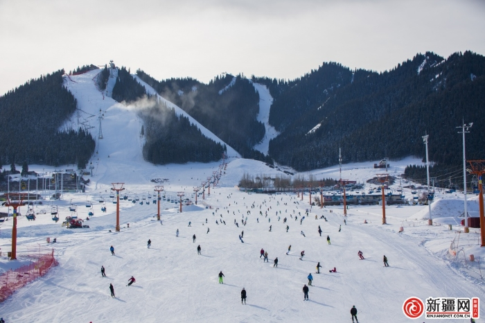 QQ图片20230207083343