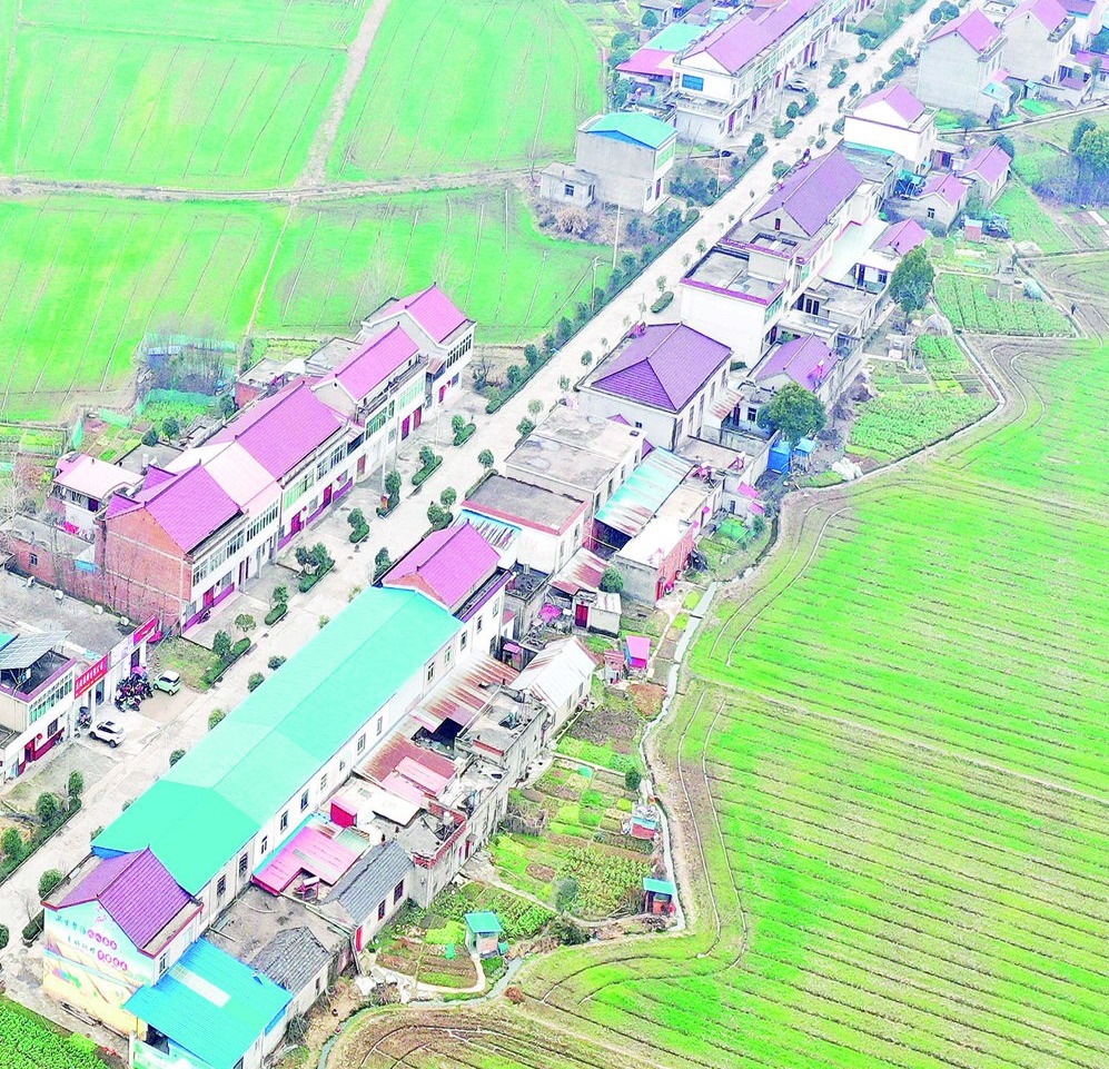 田园返青乡村如画