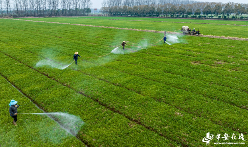 中央一号文件里的“安徽作为”