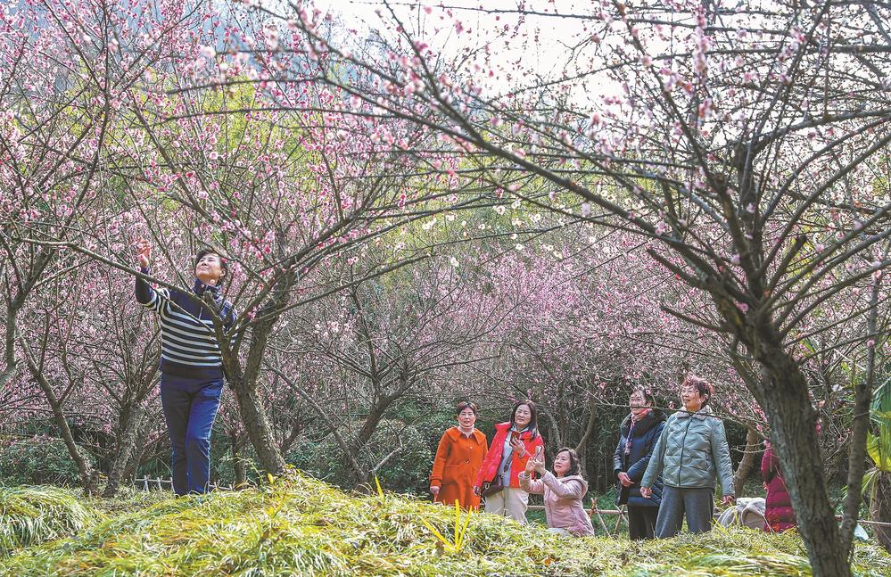 绽放吧！“美丽经济” 安徽各地文旅市场强劲复苏