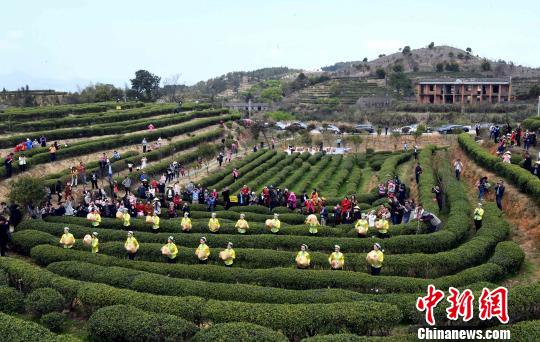 【寻味中华】福州茉莉花茶：“中国春天的味道”