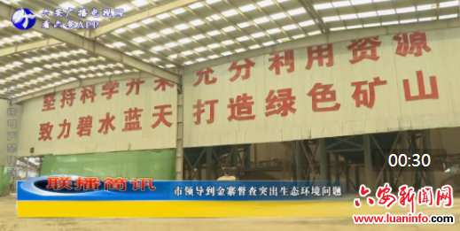 市领导到金寨督查突出生态环境问题