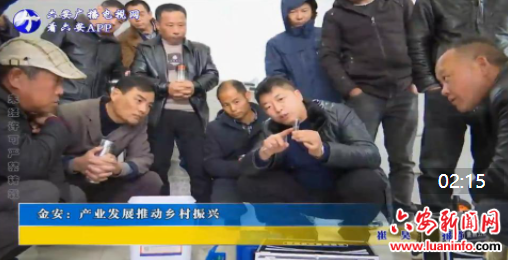 金安：产业发展推动乡村振兴