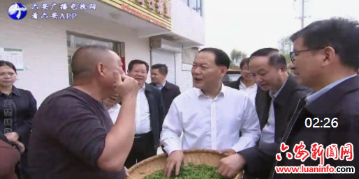 叶露中在裕安区霍山县调研强调 壮大乡村产业引领乡村振兴