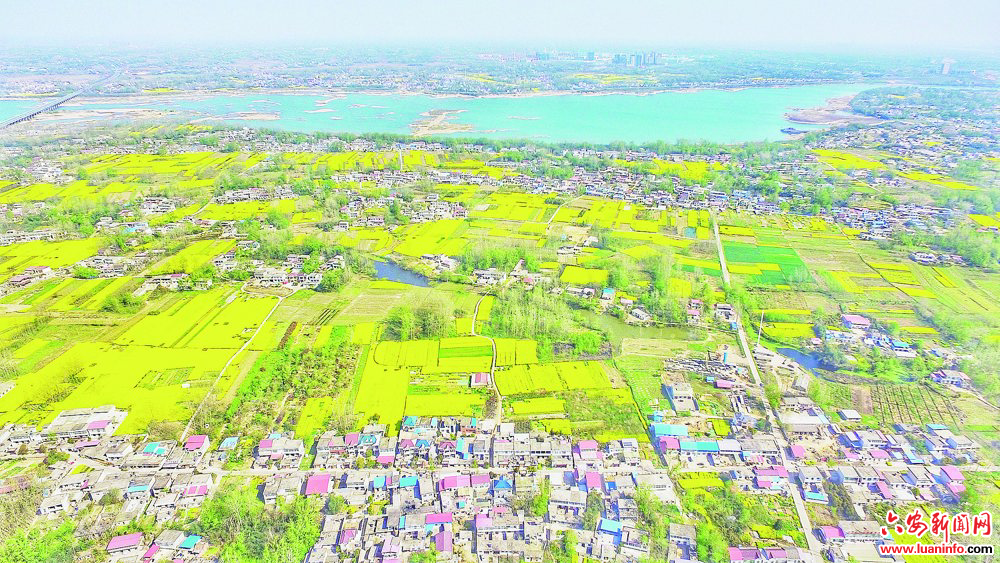 希望的田野奏响振兴强音