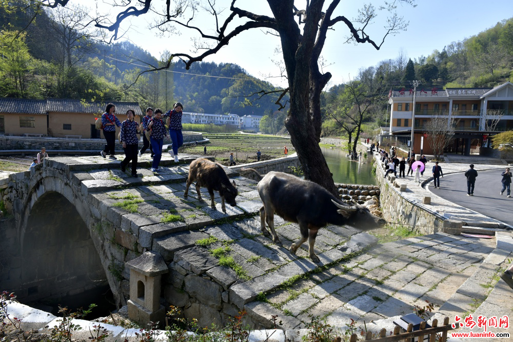 92a716e5a53343f5a8d917d87185e8e2.jpg 92a716e5a53343f5a8d917d87185e8e2.jpg