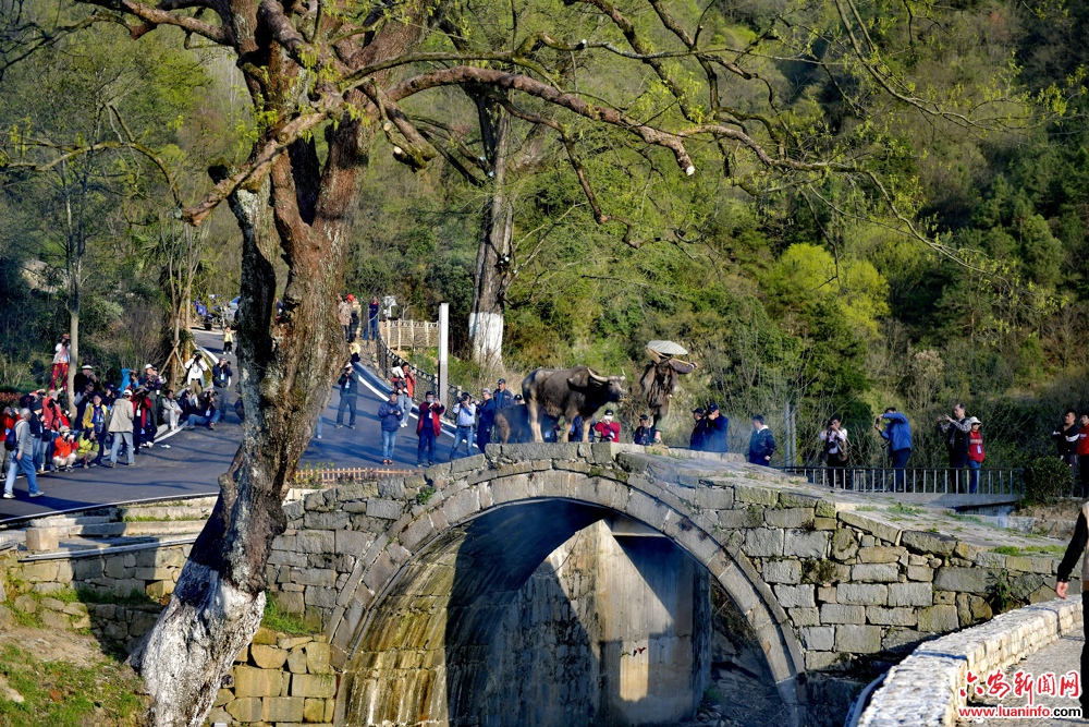 48a37f9e5b7a4a279f9650036e8ea785.jpg 48a37f9e5b7a4a279f9650036e8ea785.jpg