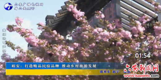 裕安：打造精品民宿品牌 推动乡村旅游发展