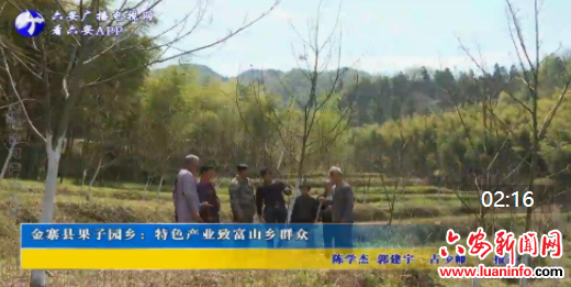 金寨县果子园乡：特色产业致富山乡群众
