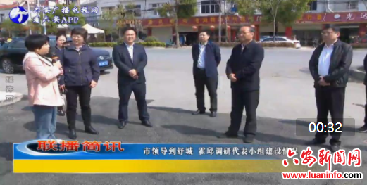 市领导到舒城 霍邱调研代表小组建设情况