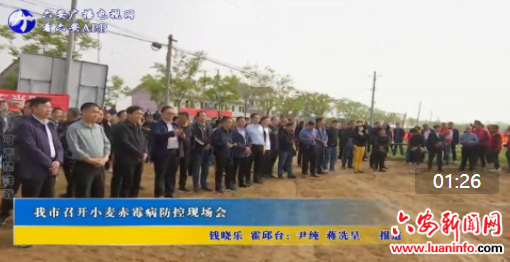 我市召开小麦赤霉病防控现场会