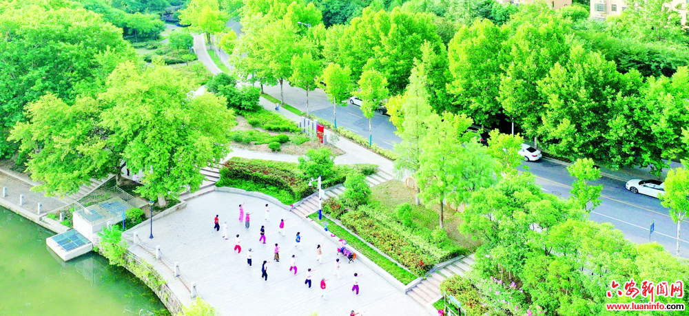 强基固本“托起”稳稳的幸福