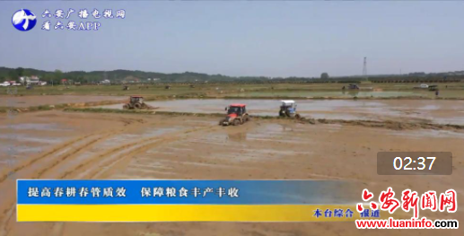 提高春耕春管质效 保障粮食丰产丰收