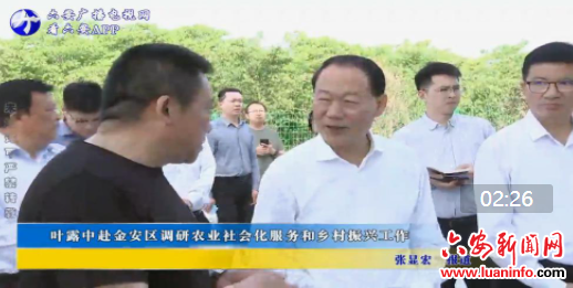 叶露中赴金安区调研农业社会化服务和乡村振兴工作