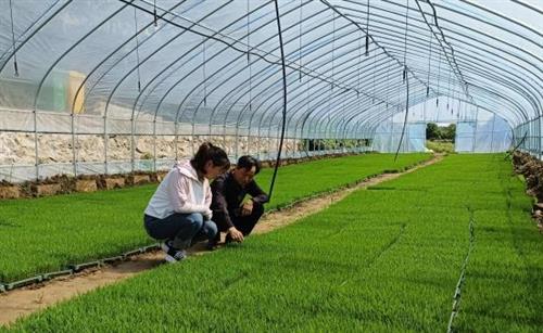 微信图片_20230511101303