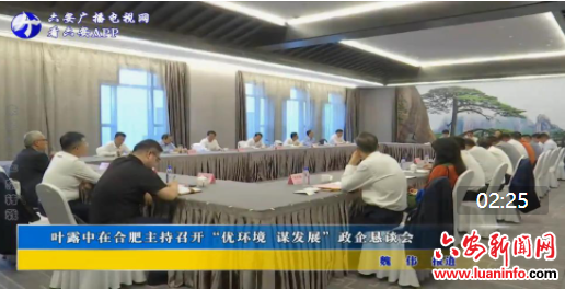 叶露中在合肥主持召开“优环境 谋发展”政企恳谈会