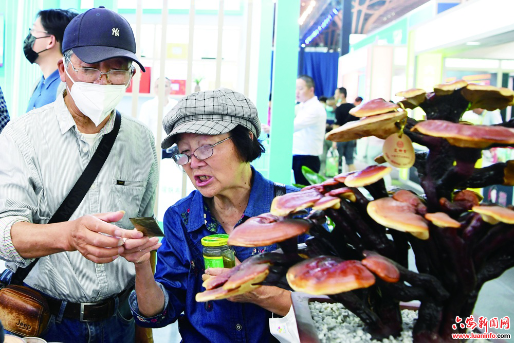 大别山优品“飞”入千家万“沪”