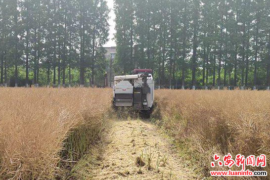 3ee31ca764844dd4a3d61e34a2e7dcd2.jpeg 3ee31ca764844dd4a3d61e34a2e7dcd2.jpeg