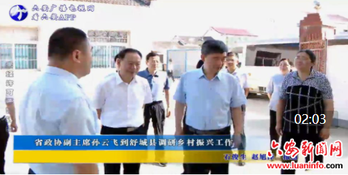 省政协副主席孙云飞到舒城县调研乡村振兴工作