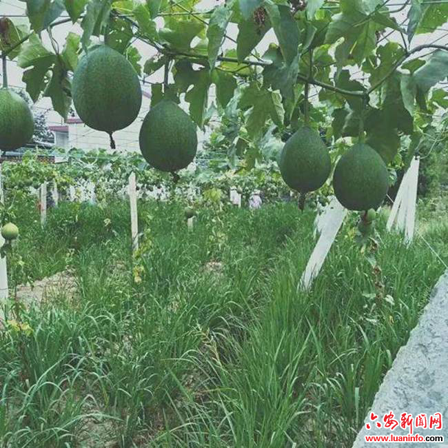 14d61a06ce38401d821b3ac1e4b4a9b3.jpg 14d61a06ce38401d821b3ac1e4b4a9b3.jpg