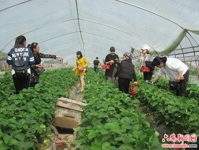 be20da327cca44d7b8e4cf018cb49cef.jpg be20da327cca44d7b8e4cf018cb49cef.jpg