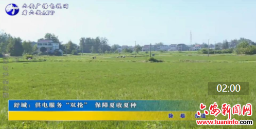  舒城：供电服务“双抢” 保障夏收夏种