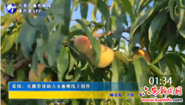 霍邱：直播带货助力水蜜桃线上销售