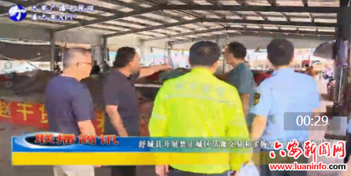 舒城县开展禁止城区活禽交易和实施集中屠宰宣传活动