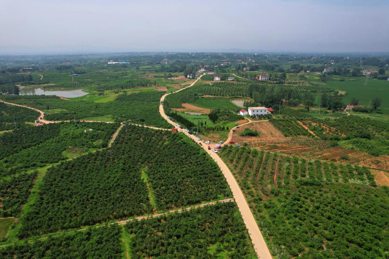 叶集乡村风貌。彭松摄