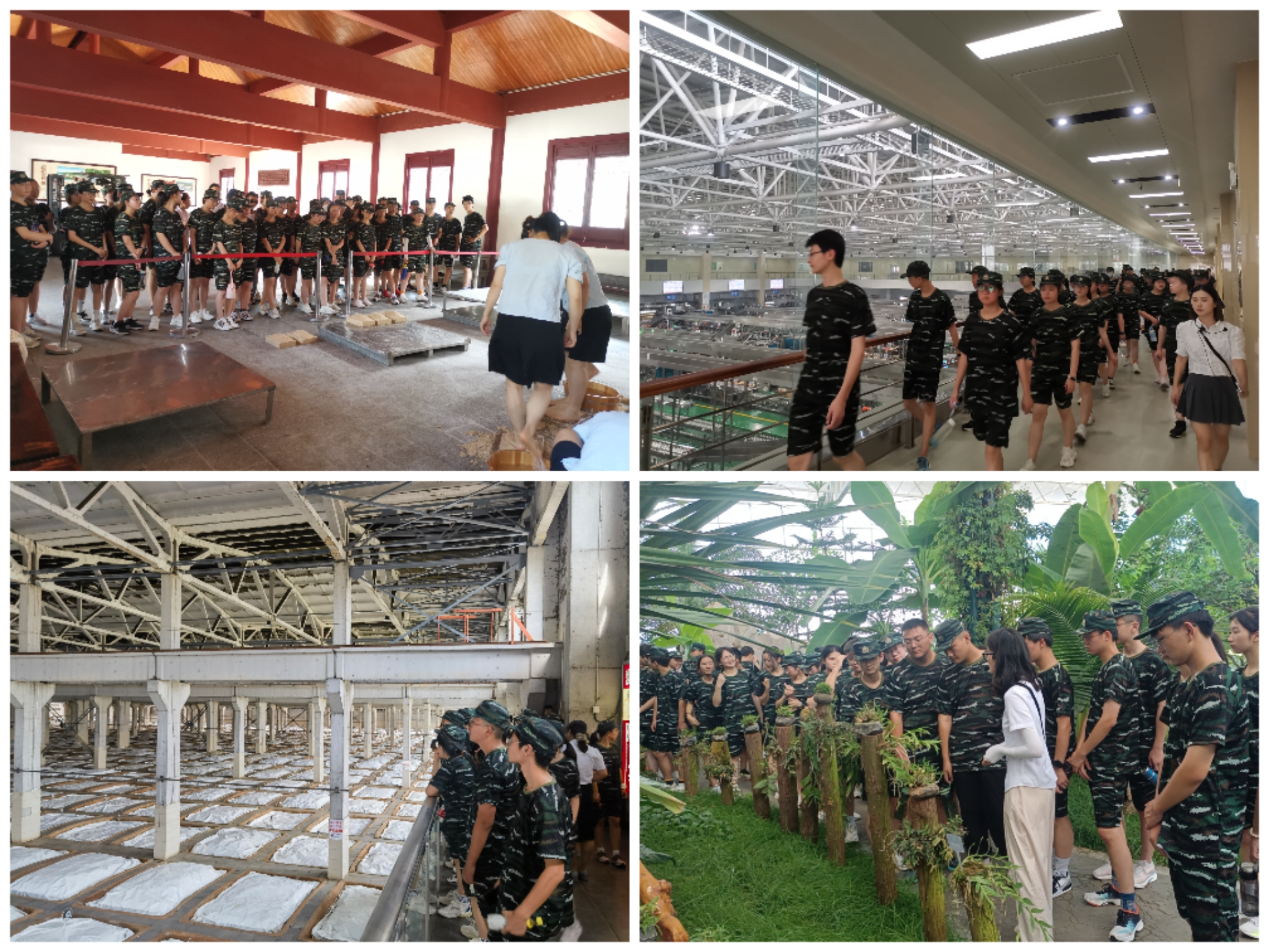 微信图片_20230816172304