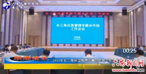 2023年长三角应急管理专题合作组工作会在金寨召开