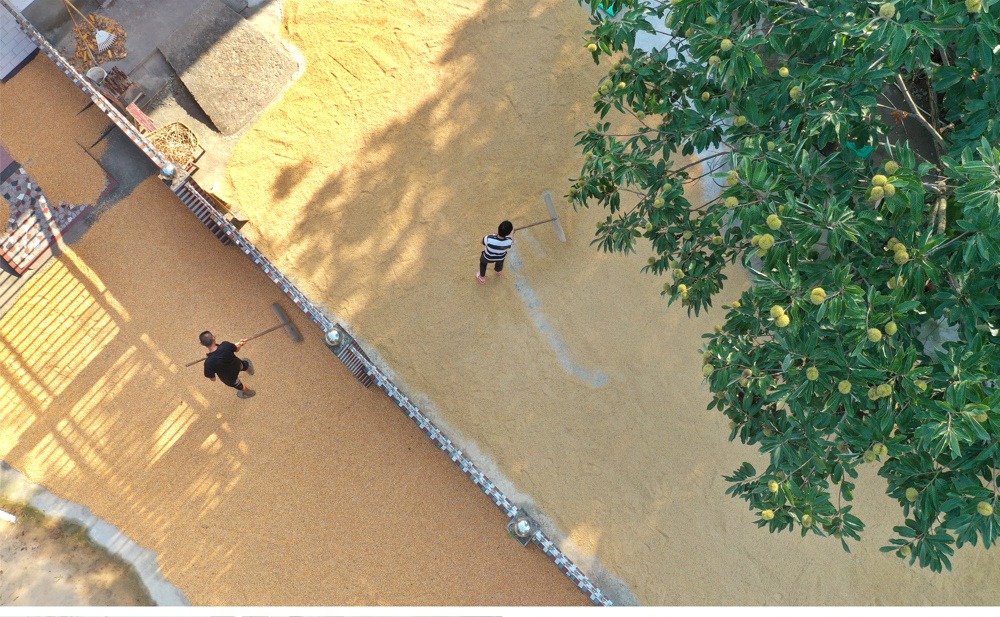 乡村晒秋别样“丰”景