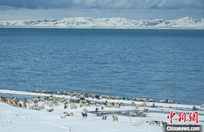 中国最大湖泊创建国家公园 面积近四个鄱阳湖