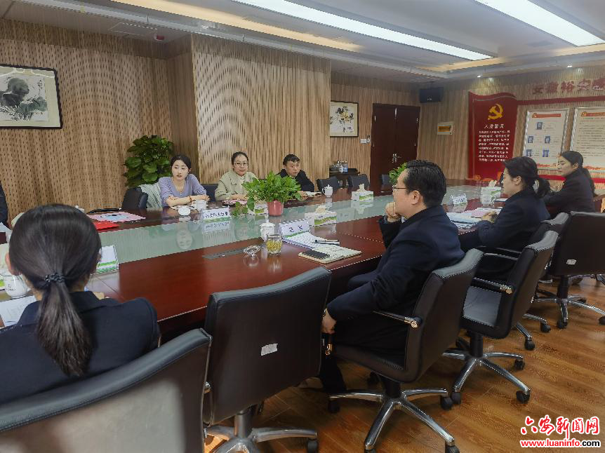 裕安区：职称政策宣讲“面对面” 精准有效服务零距离