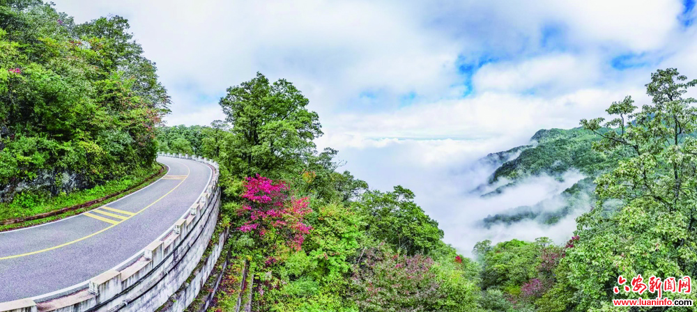 秋色入画里 山山黄叶飞
