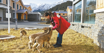 青春之歌，在祁连山唱响（青春派）