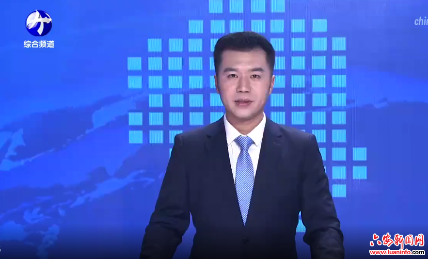  市委常委会会议强调 认真学习贯彻习近平总书记重要讲话精神 方正主持会议