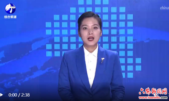 方正在市委理论学习中心组学习会上强调 深入学习习近平总书记有关重要论述 着力建设更高水平平安六安