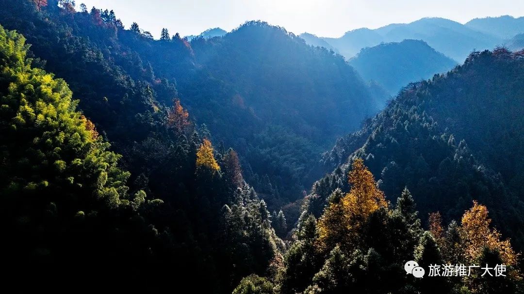 DJI_20231125091209_0014_D.jpg 图片