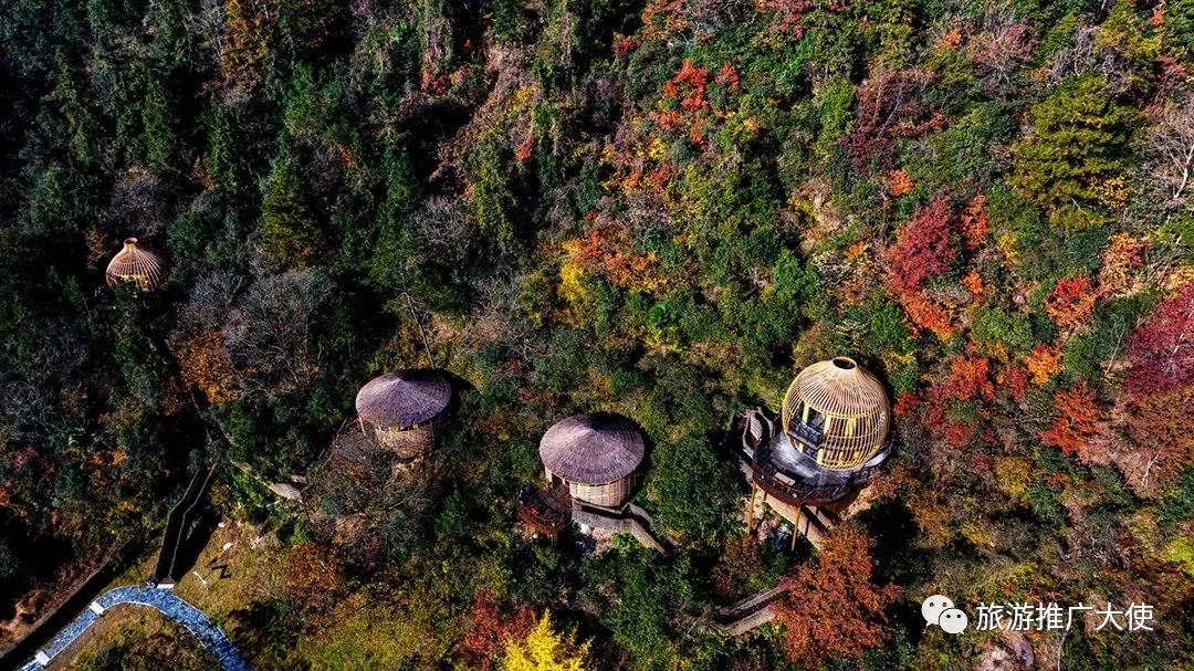 DJI_20231125092843_0059_D.jpg 图片