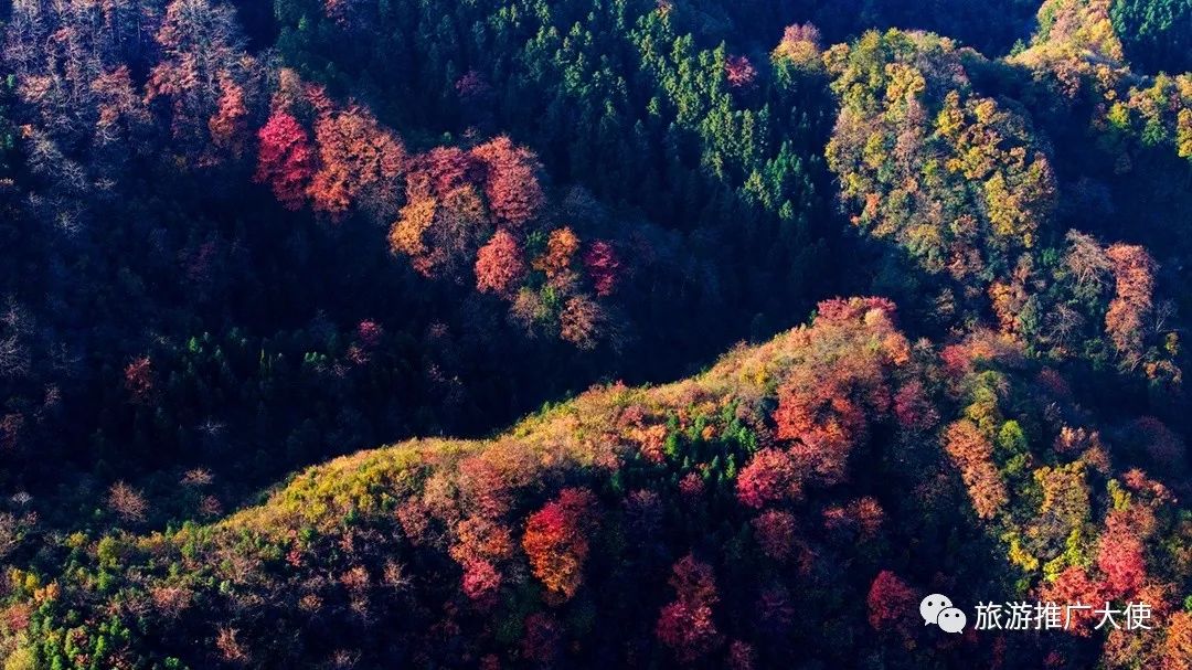 DJI_20231125092107_0038_D.jpg 图片