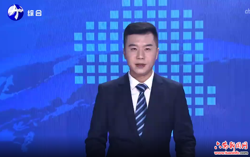  裕安区顺河镇：抓好民生改善 织牢民生“幸福网”