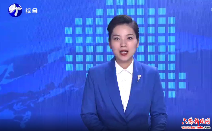  李敏参加指导霍山县委常委会民主生活会