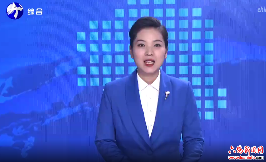 李和平率民进省委会到金寨县开展“春联万家”及系列帮扶活动