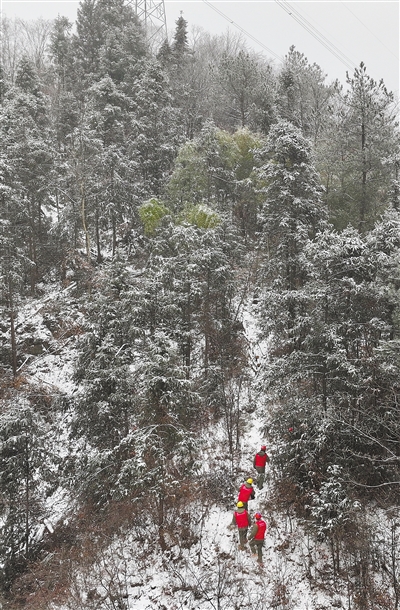 合力应对低温雨雪冰冻天气