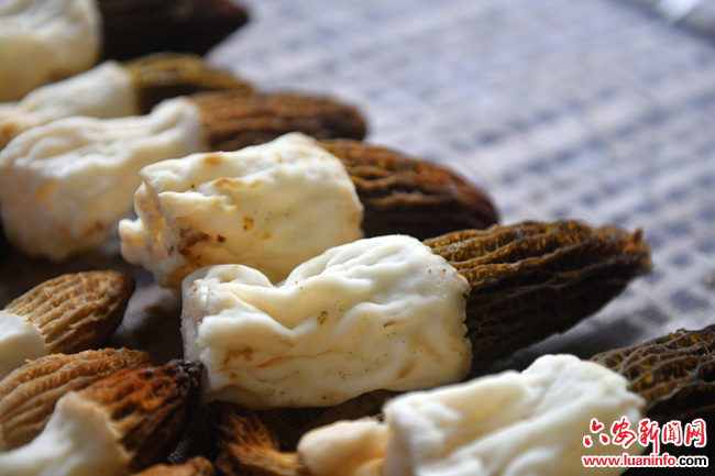 1839dc9964114a7488bf02c4ff91effe.jpg 1839dc9964114a7488bf02c4ff91effe.jpg